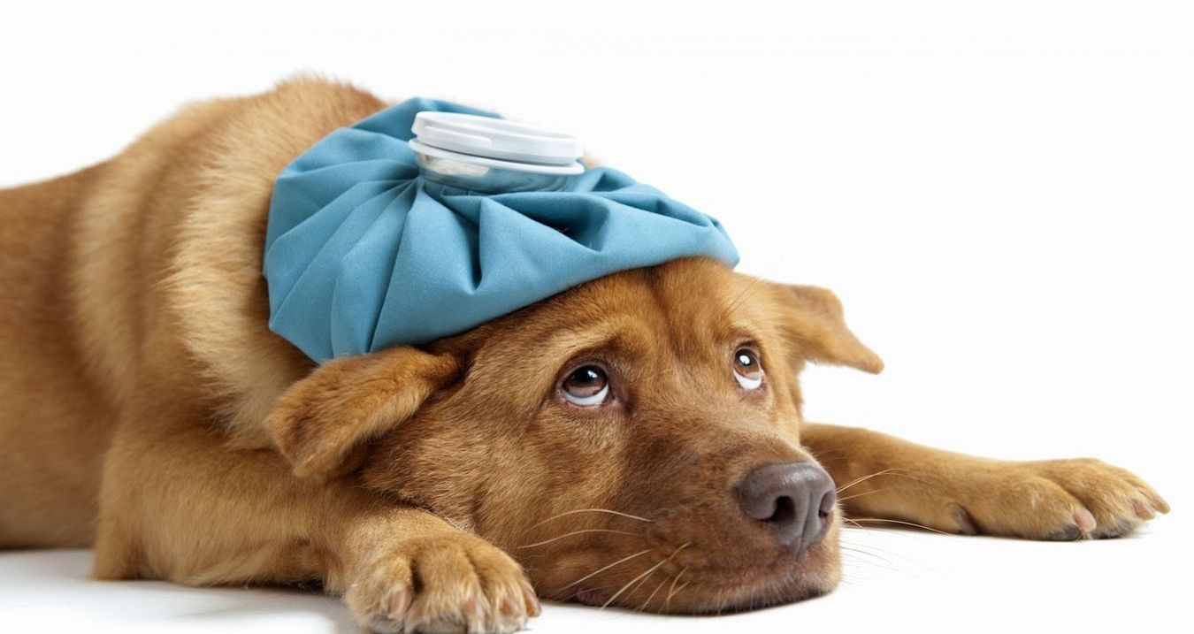 Best Man Stag Do Survival Guide