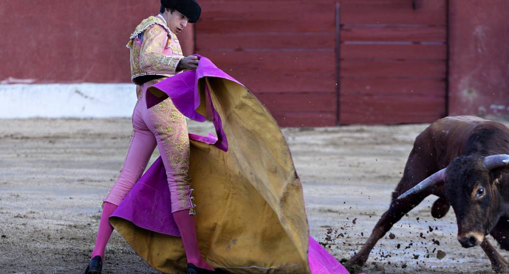 Traditional Spanish passtime, Bullfighting