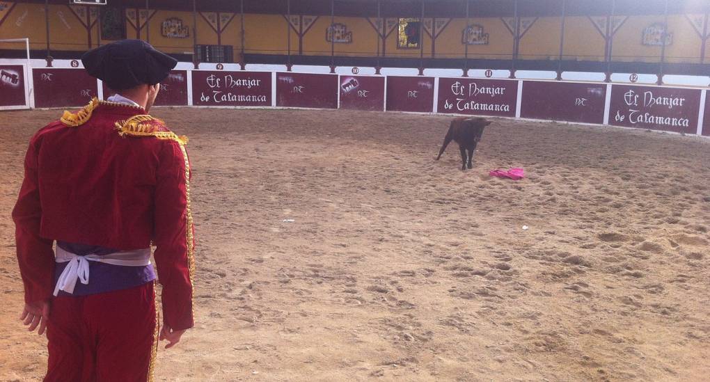 Bullfighting tickets for Stag dos in Spain