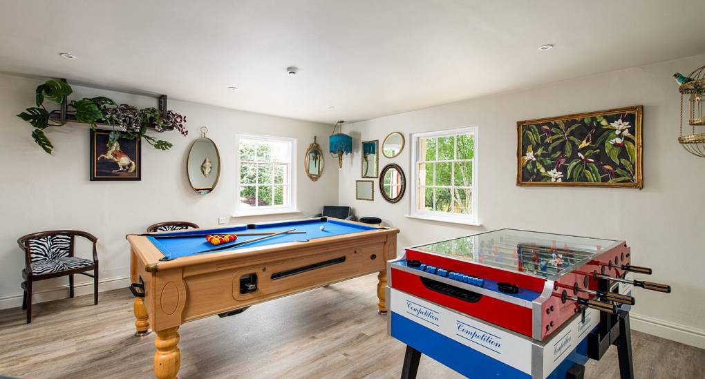 Grand Manor Luxury Party House games room
