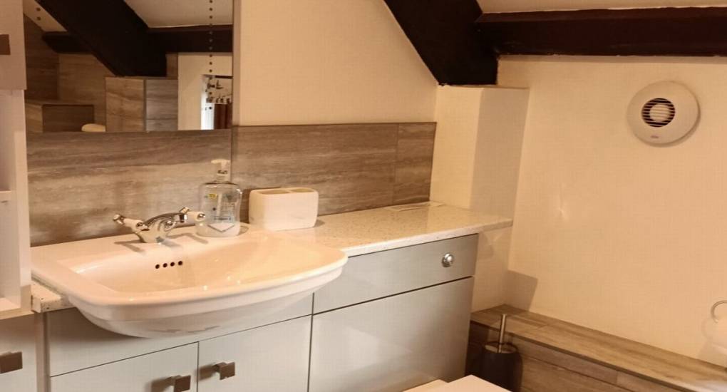 bathroom with sink and vanity cabinets