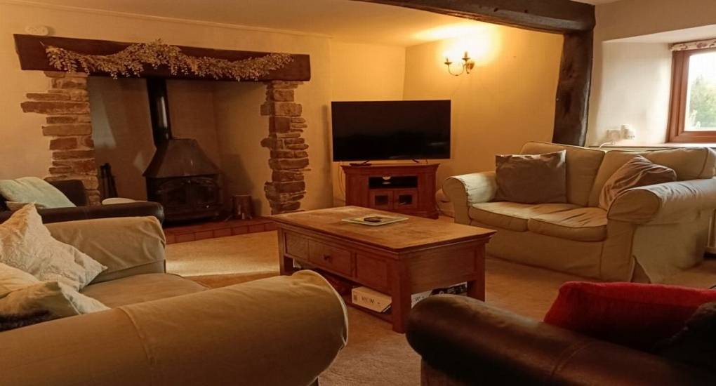 lounge with sofas, fireplace, coffee table and TV