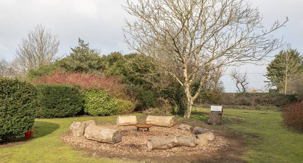 Fire pit in the garden near a tree