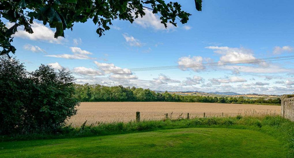 primrose-cottage-scenery.jpg