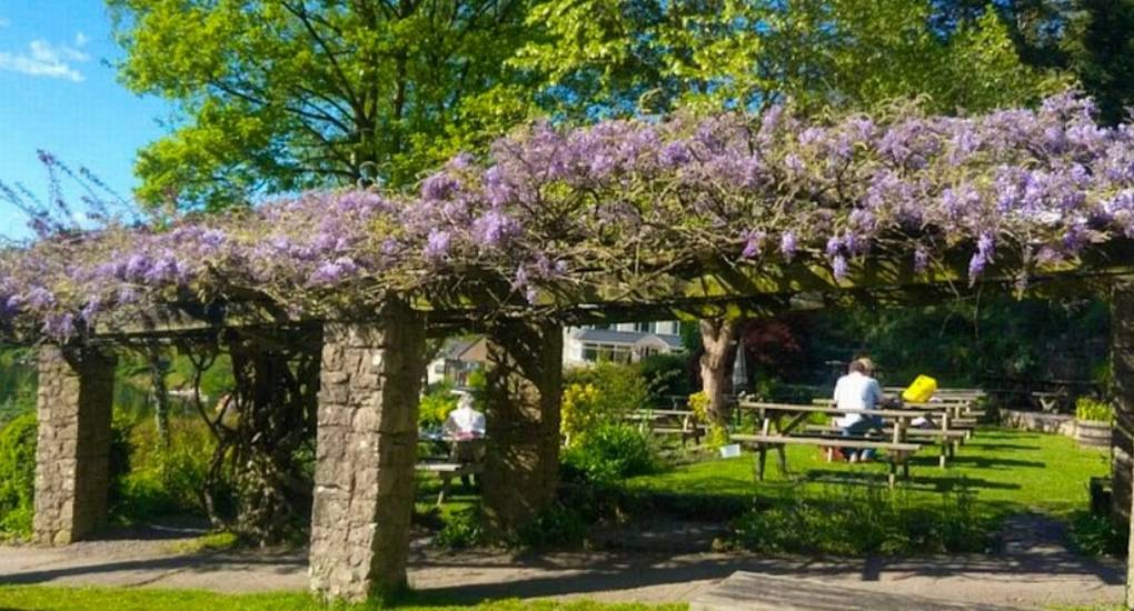 The beautiful garden at River View Lodge, featuring a wisteria-covered pergola and picnic tables, an ideal outdoor space for a hen party in the Wye Valley.