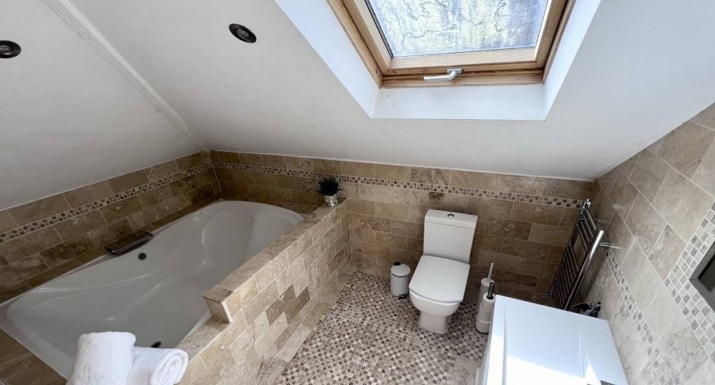 Bathroom with sky light and bath