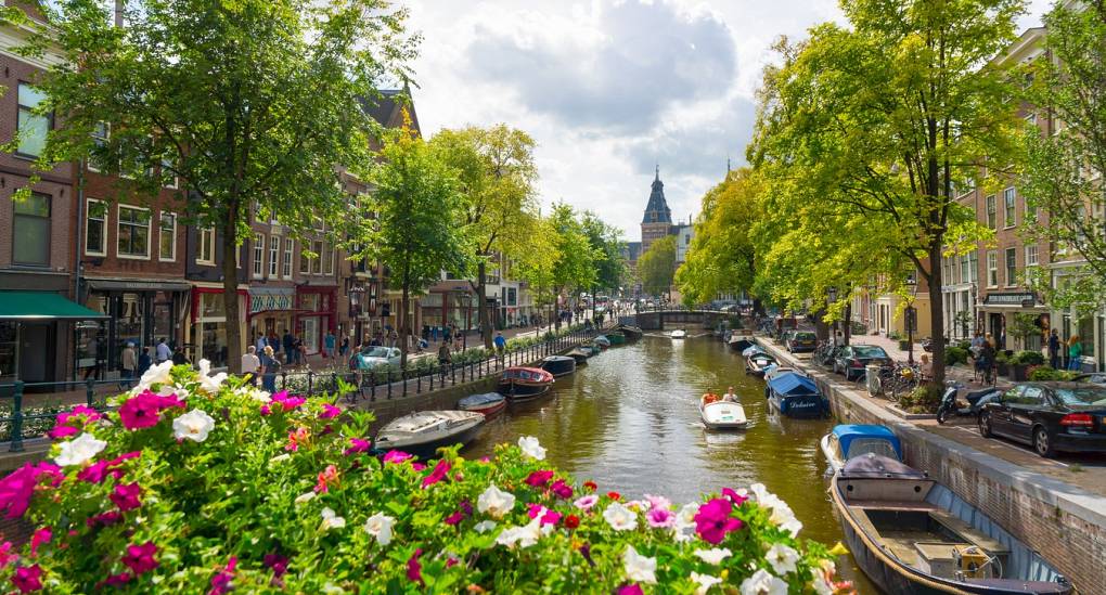 Amsterdam canal and flowers