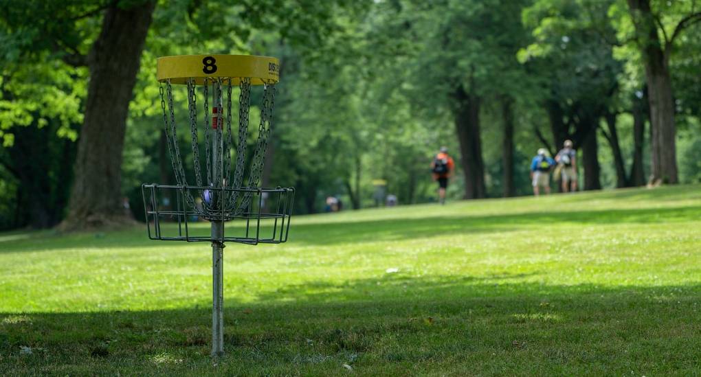 Disc Golf hole or target
