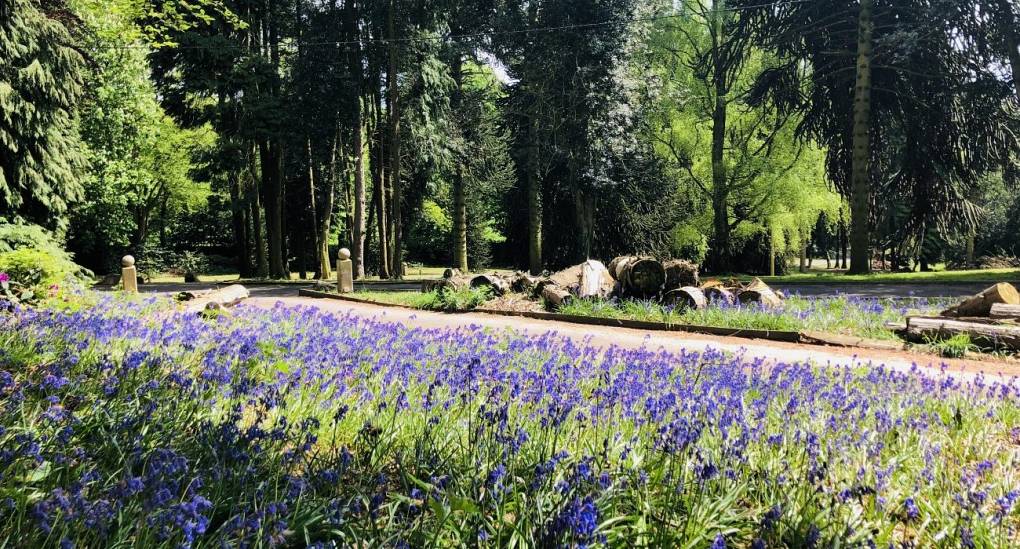 Purple flowers line the driveway 