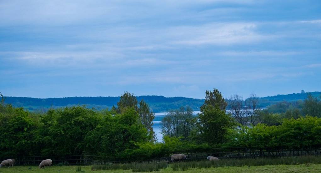 View from the gardens. Rolling hills and lake in the distance 