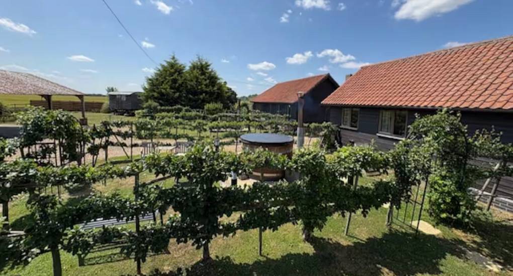 willow-barn-garden-overview.jpg