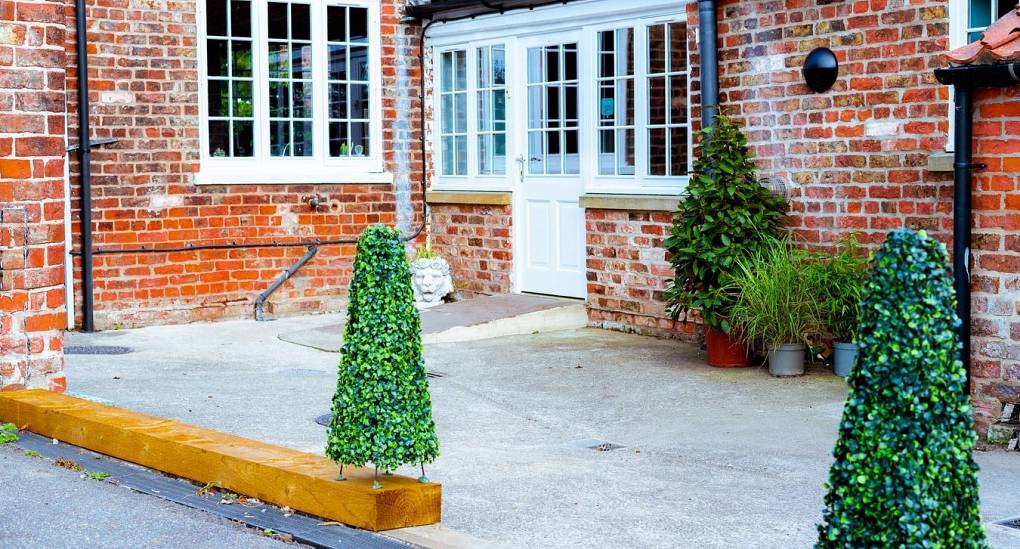 Garden patio with plants 