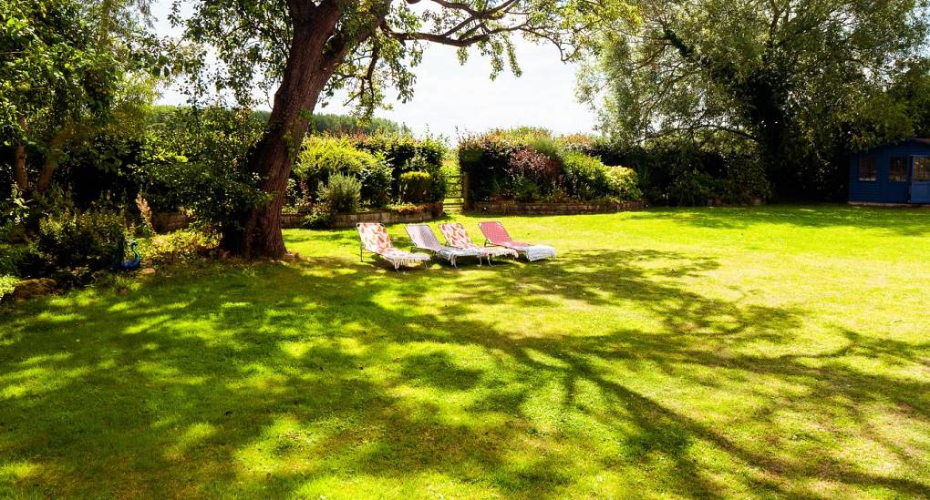 Sun loungers in garden