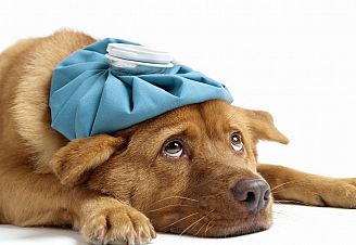 Best Man Stag Do Survival Guide